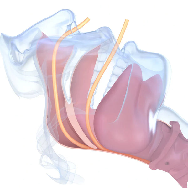 Sleep Apnea Risk